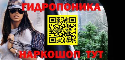 крисы Славянск-на-Кубани