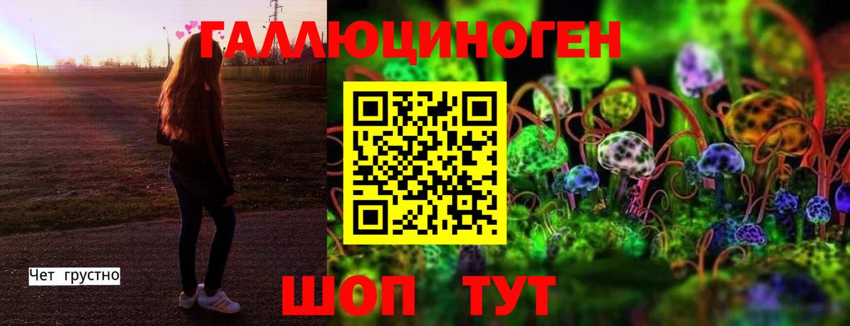 Псилоцибиновые грибы Psilocybine cubensis Сатка